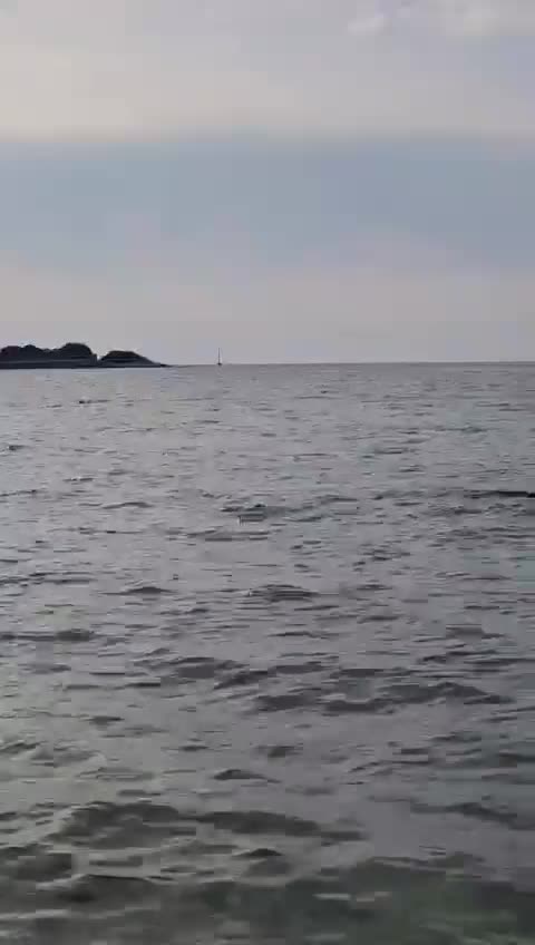 I texted this to the Lamb's but we just had one of the most incredible experiences in Croatia. Slovenia doesn't have much seaside so we day-tripped to a town here in Croatia called Rovinj. We stopped to go swimming in this little beach spot and before we got in we saw a dolphin out in the distance by this buoy line