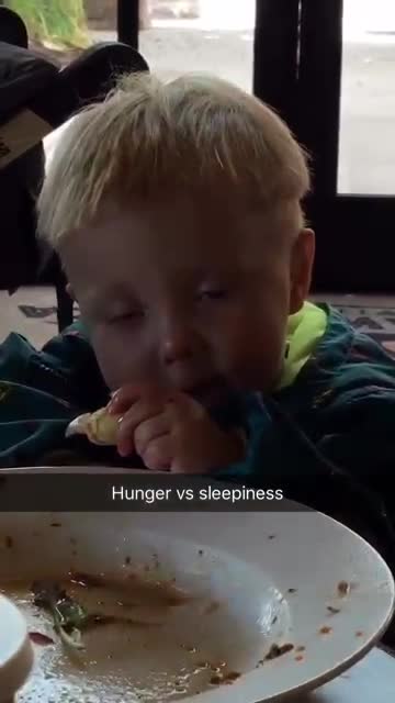 Hunger vs sleepiness   2017?
