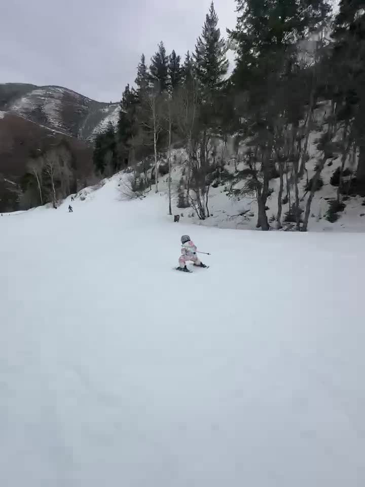 I wanted to share an update on Stevie. We got her off the "backpack leash" and skiing on her own a week or so ago and she's killin it! I'm not sure who taught her to tuck her poles like that but it wasn't me. It was giving me a laugh attack tho haha